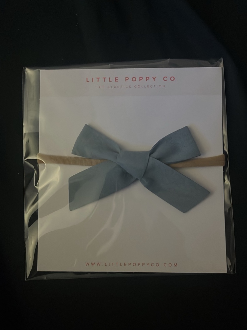 Little Poppy Co Light Blue Bow Headband for Kids